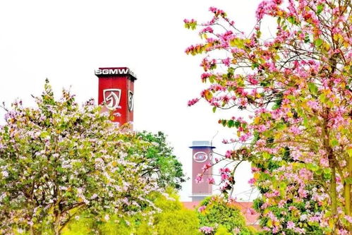 神奇汽車(chē)工廠之旅 探秘品牌背后的故事